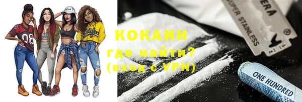 шишки Алексин